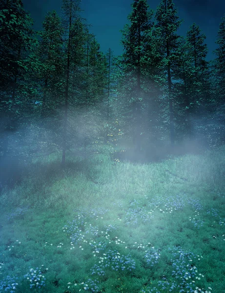 秋天多雾的森林景观 蓝天下有老冷杉树 — 图库照片