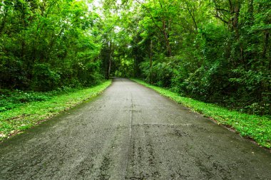 kırsal yol