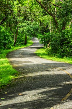 kırsal yol