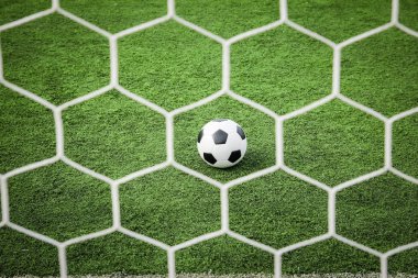 futbol net önünde yeşil çimenlerin üzerinde