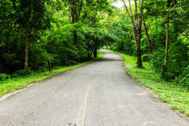 kırsal yol