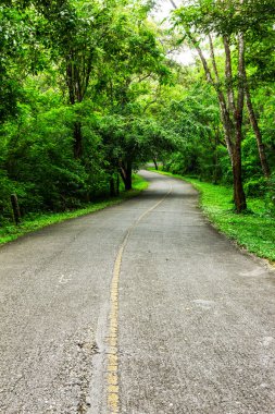 kırsal yol