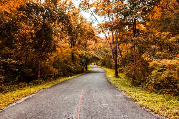 Estrada do campo em Outono — Fotografia de Stock