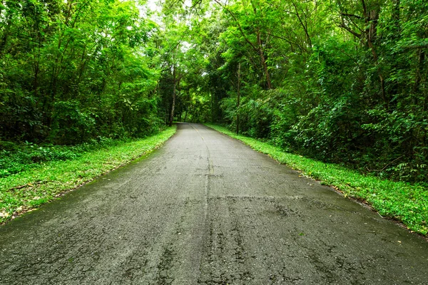 Route de campagne — Photo