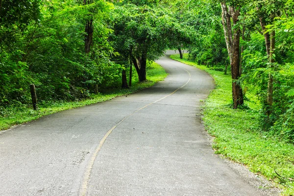 Carretera de campo —  Fotos de Stock