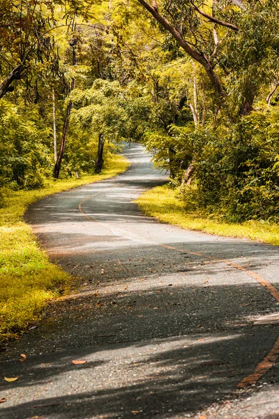 Strada di campagna — Foto Stock