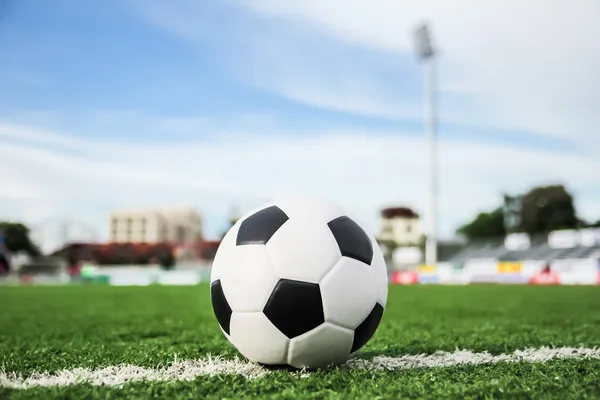 Futebol na grama verde — Fotografia de Stock