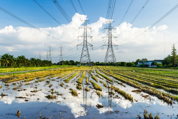 Poste de energia de alta tensão de eletricidade no campo de paddy — Fotografia de Stock