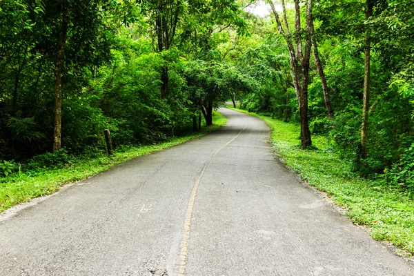 Kırsal yol — Stok fotoğraf