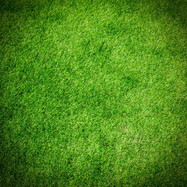 green grass texture for background