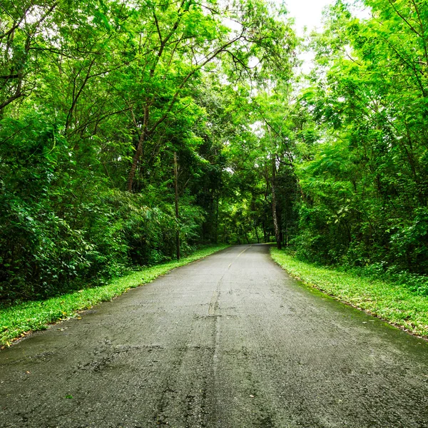 Route de campagne — Photo