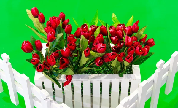 Поддельный тюльпан — стоковое фото