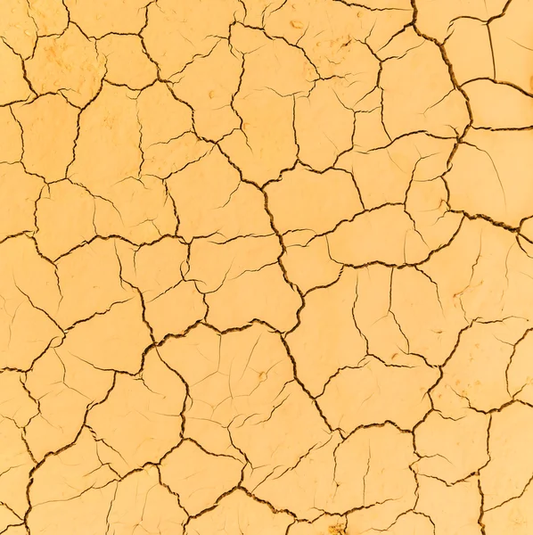 Cracked soil — Stock Photo, Image