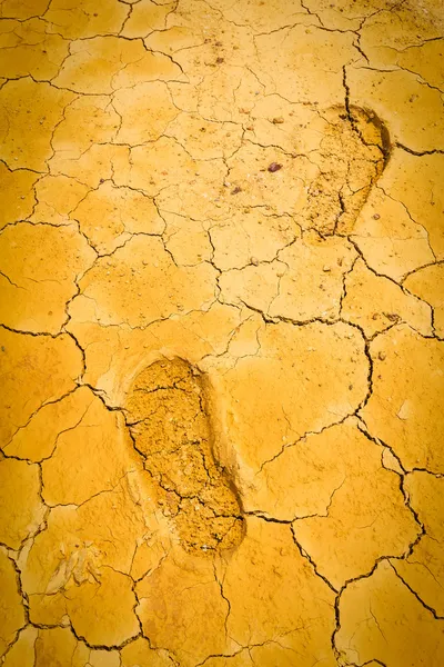 Footprint on dry crack soil — Stock Photo, Image