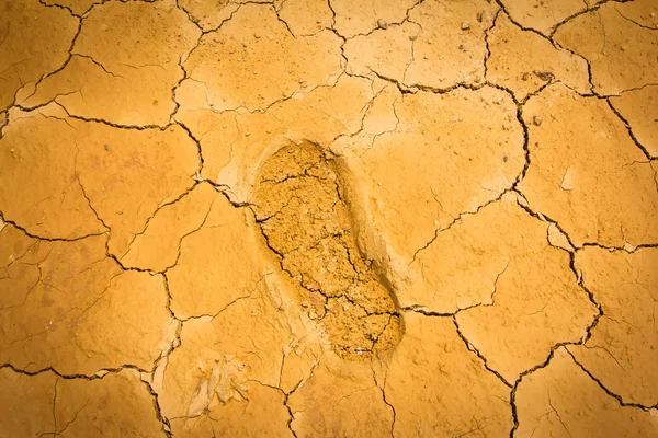 Footprint on dry crack soil — Stock Photo, Image