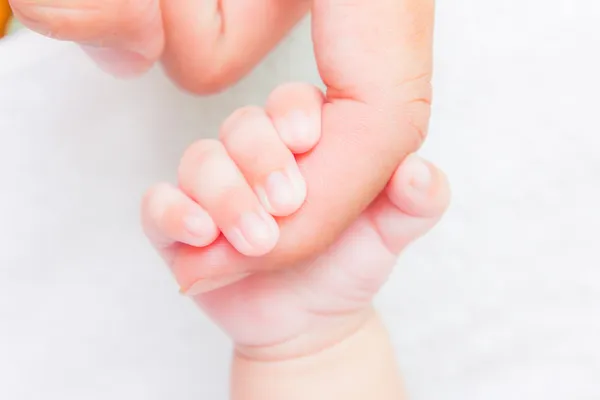 Baby hand holding adult finger — Stock Photo, Image