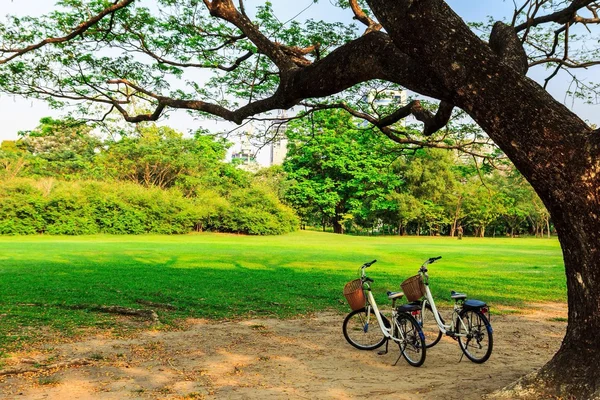 Bicycle in the park — Stock Photo, Image