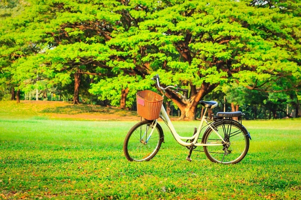 Kerékpár a parkban — Stock Fotó