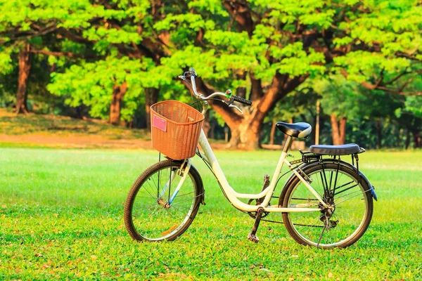 Bicycle in the park — Stock Photo, Image