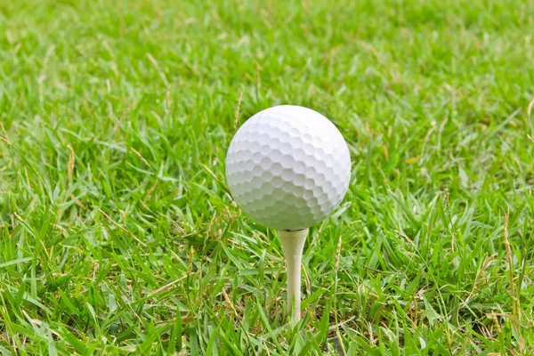 Yeşil çimlerin üzerinde golf topu — Stok fotoğraf