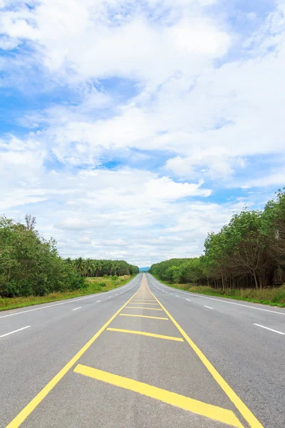 Platteland weg — Stockfoto