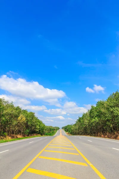 Platteland weg — Stockfoto