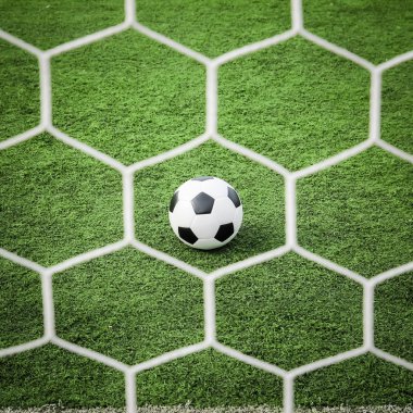 futbol net önünde yeşil çimenlerin üzerinde