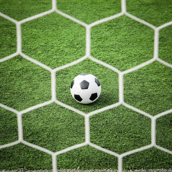 Football on green grass in front of the net — Stock Photo, Image