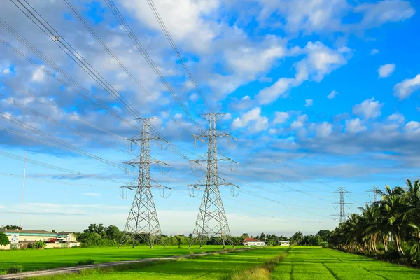 Power pylon i fältet — Stockfoto