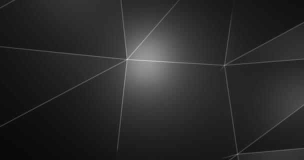 Abstraktní černá s bílými čarami na pozadí — Stock video