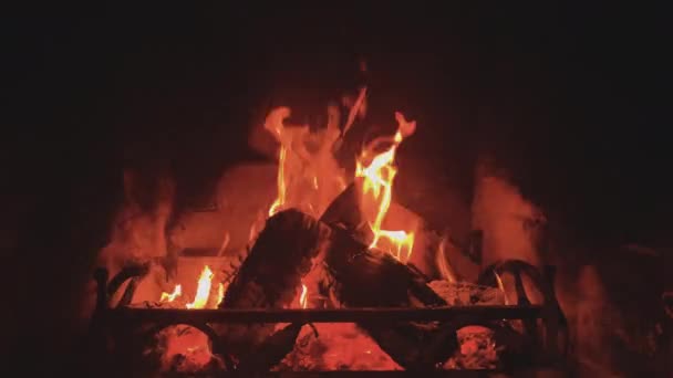 在家里的壁炉里烧木头 — 图库视频影像