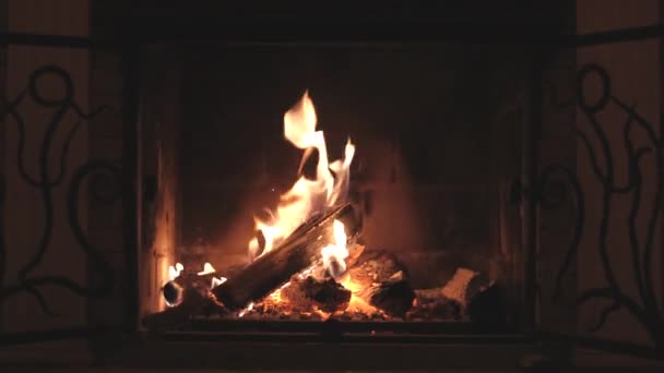 Burning wood in fireplace at home — Stock Video