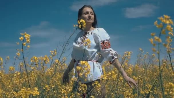 Tarlada etnik giyinmiş Ukraynalı kadın — Stok video