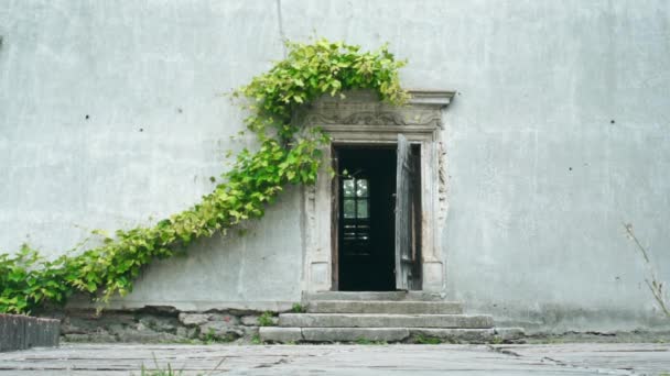 Open Oude Deur Wijnstok Bladeren Opknoping Muur — Stockvideo