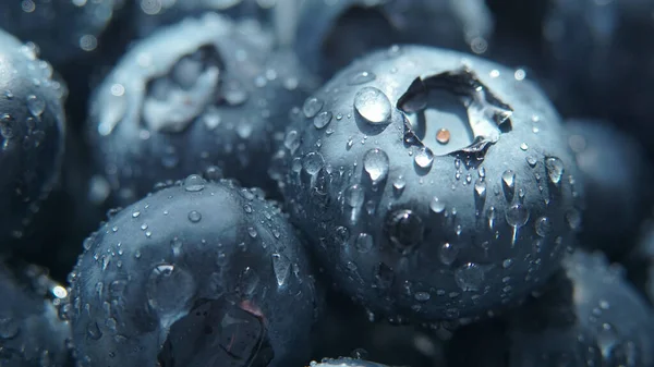 Taze yaban mersinine yakın çekim. Makro fotoğraf.