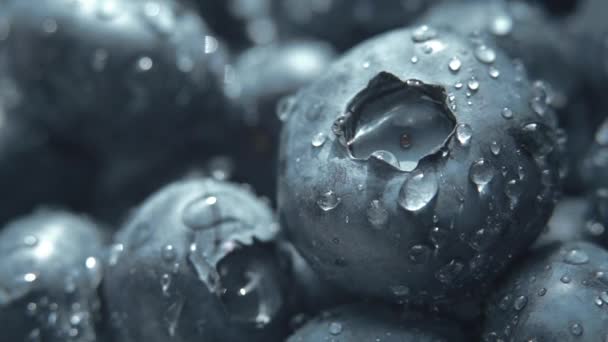 Closeup Fresh Blueberry Macro — 图库视频影像