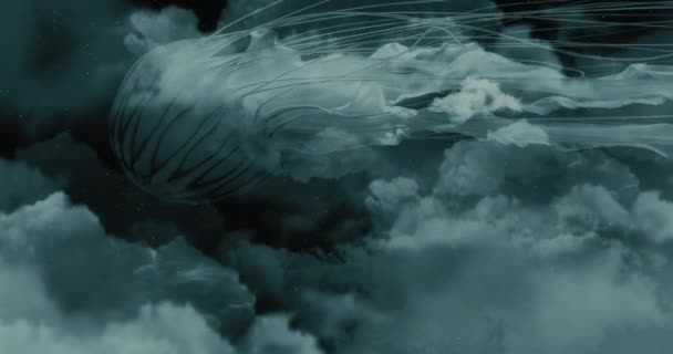Jellyfish Swim Clouds — Wideo stockowe