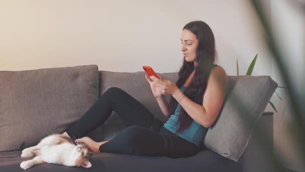 Young Woman Sit Sofa Cat Home Using Smartphone — ストック動画