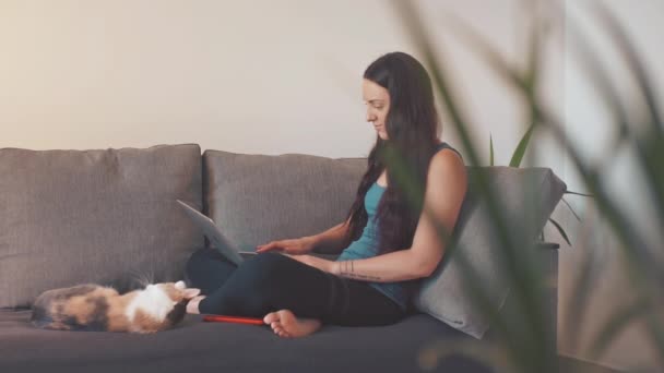 Young Woman Sit Sofa Cat Home Using Laptop — Wideo stockowe