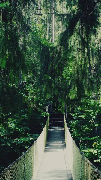 Suspension bridge over the river in the woods