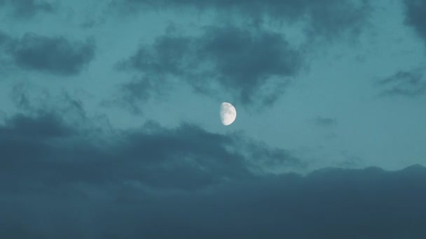 Moon Clouds Background — Stockvideo