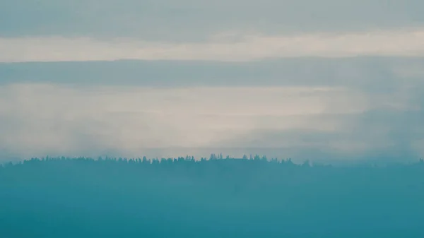 Şafakta sisli Karpat Dağları