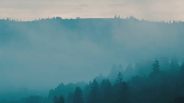 Şafakta sisli Karpat Dağları