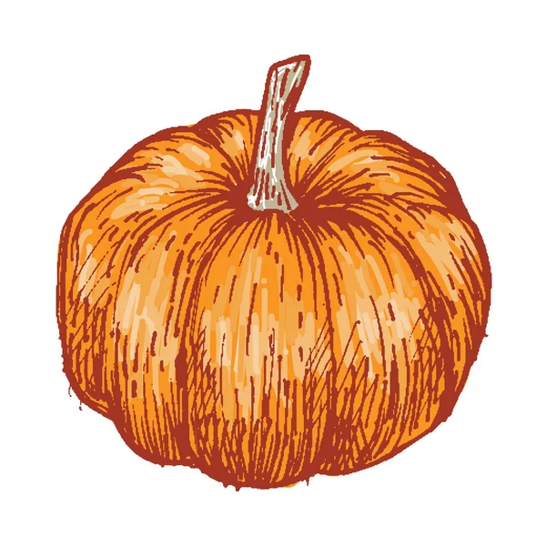 Plain Pumpkin Farmhouse Eps10 — Image vectorielle