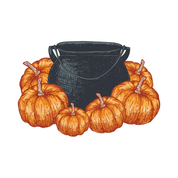 Witch Cauldron Pumpkins Farmhouse Eps10 — Image vectorielle