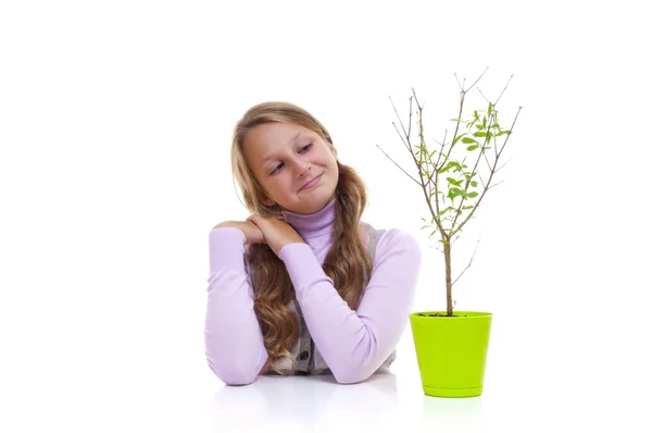 Schoolgirl and the pomegranate tree in the green pot — Stock Photo, Image