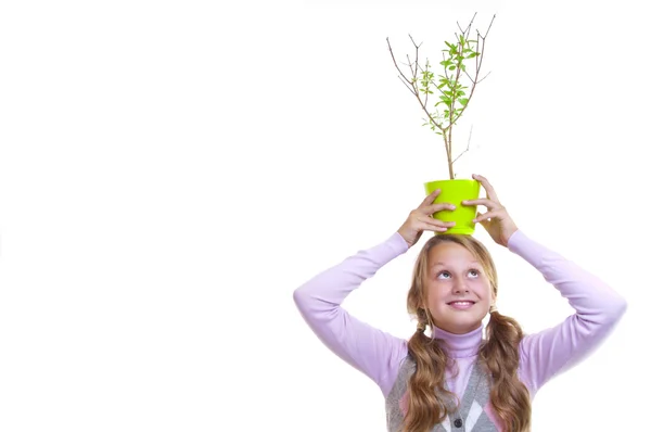 Schoolgirl and the pomegranate tree in the green pot — Stock Photo, Image