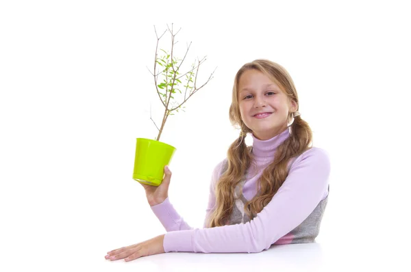 Skolflicka och granatäpple trädet i gröna grytan — Stockfoto