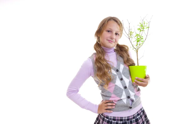 Schoolgirl and the pomegranate tree in the green pot — Stock Photo, Image