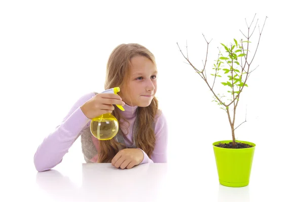 Schoolgirl and the pomegranate tree in the green pot — Stock Photo, Image